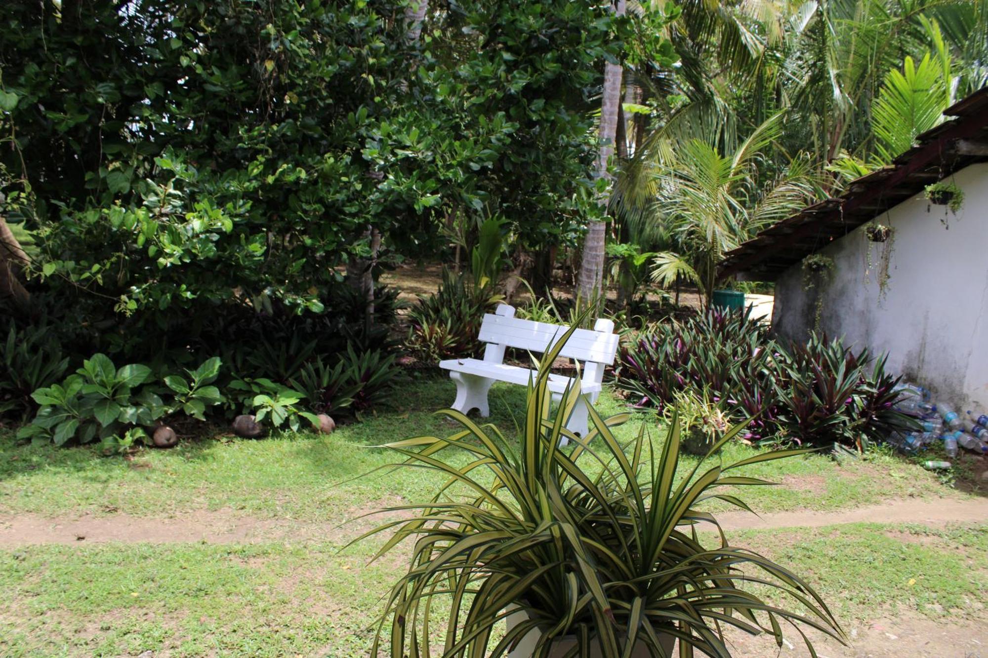 Sun And Surf Rest Hotel Ahangama Exterior photo
